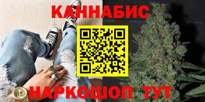 винт Тара