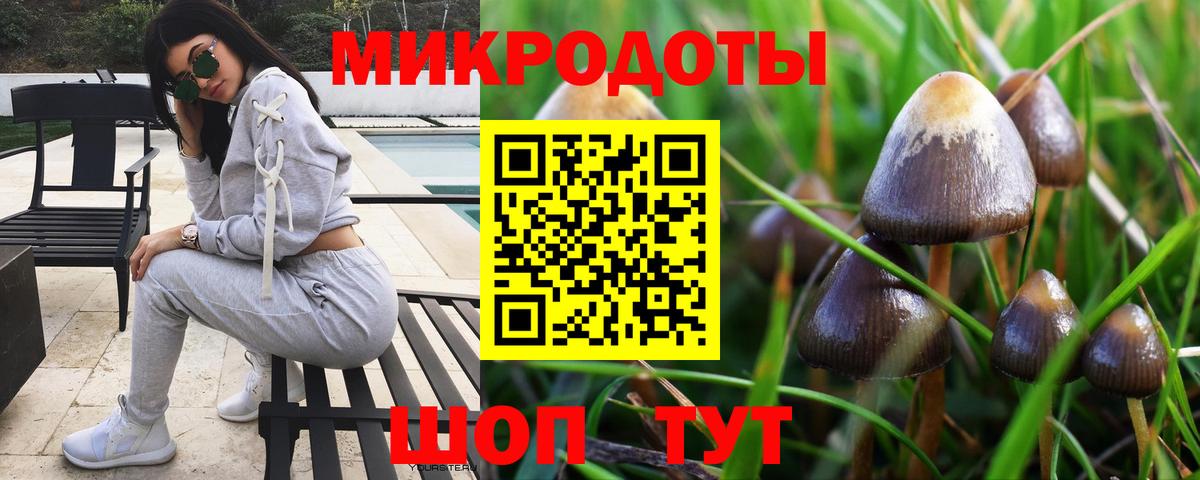 Псилоцибиновые грибы прущие грибы Апшеронск