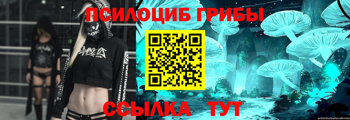 ТГК Апшеронск