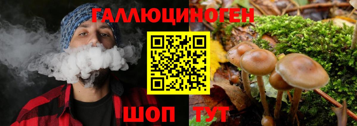 Апшеронск  Галлюциногенные грибы Psilocybine cubensis  Вход с VPN  Псилоцибиновые грибы MAGIC MUSHROOMS 